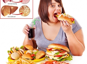 Cảnh Báo Bệnh Gan Nhiễm Mỡ Ở Người Thích Đồ Ăn Nhanh